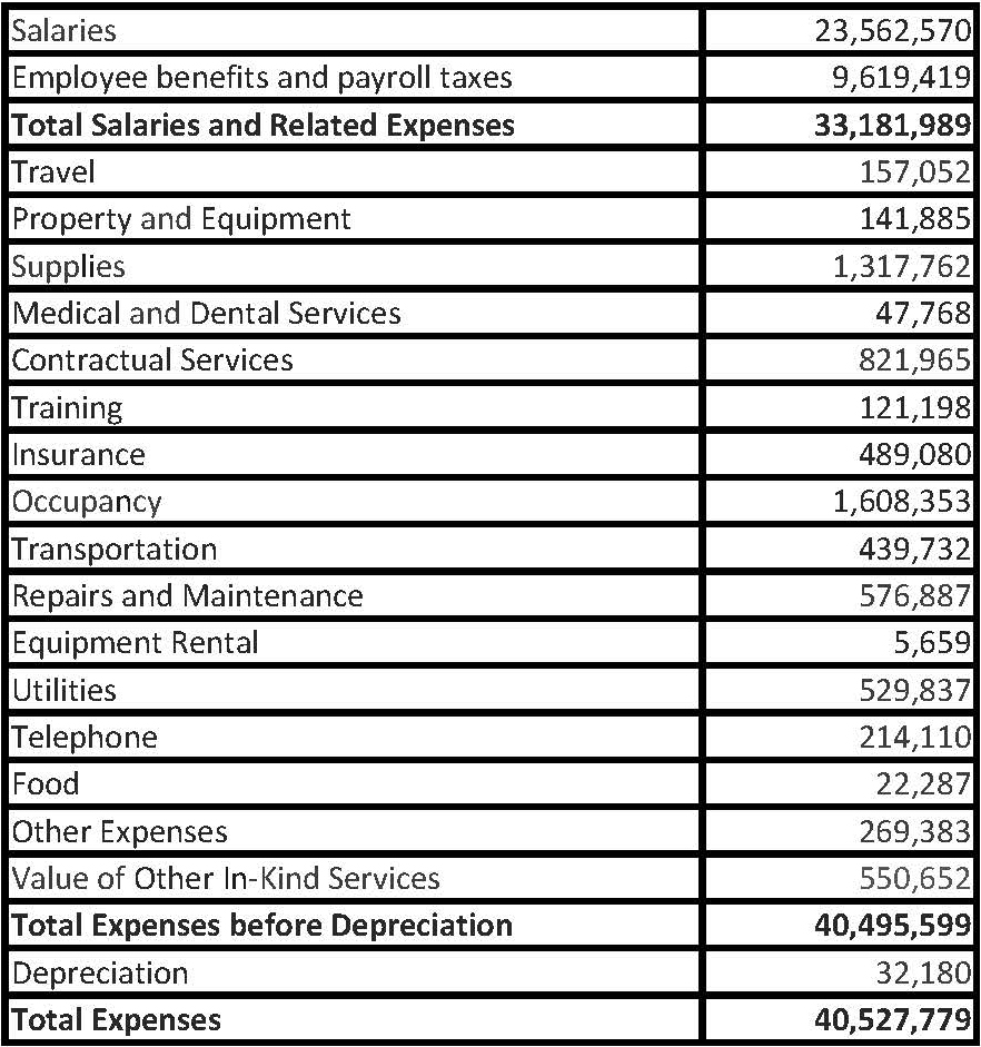 Annual_Report_Budget_worksheet-13Eng